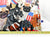 Pony Pouch, Artisan Made - Patriotic Pups Pattern ~ 15" x 10.5"