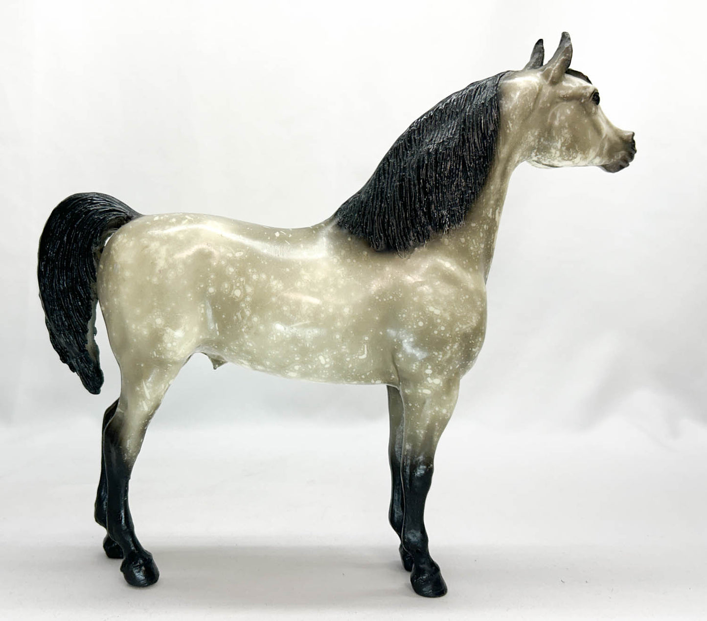 Proud Arabian Stallion, Black-Point Dapple Grey - HALO DAPPLES! B-Stamp w/ Bonus Pony Pouch