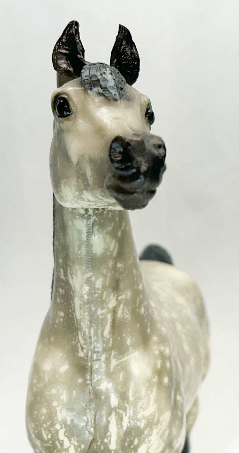 Proud Arabian Stallion, Black-Point Dapple Grey - HALO DAPPLES! B-Stamp w/ Bonus Pony Pouch