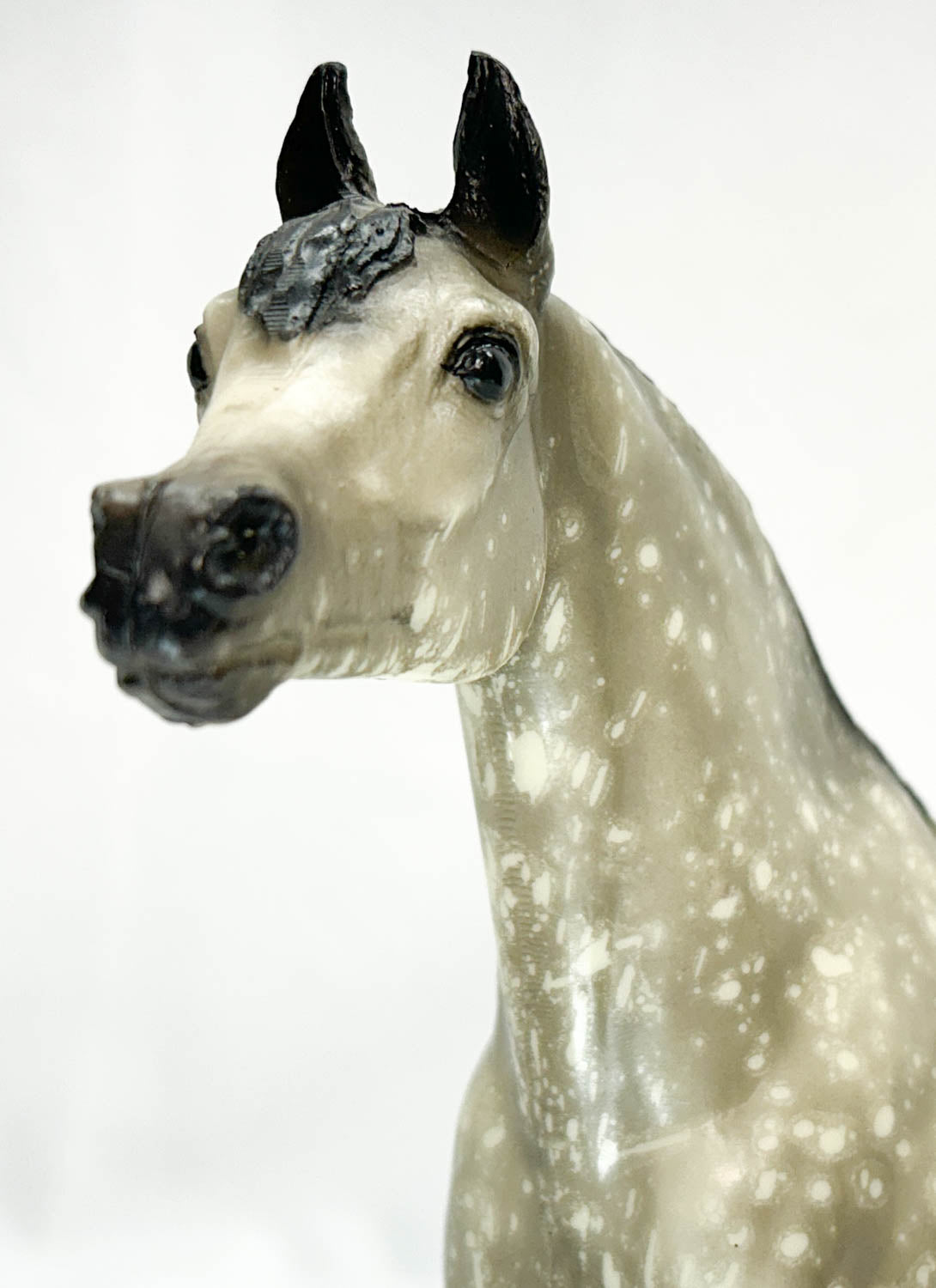 Proud Arabian Stallion, Black-Point Dapple Grey - HALO DAPPLES! B-Stamp w/ Bonus Pony Pouch