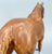 Quarter Horse Gelding, Woodgrain