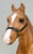 Quarter Horse Gelding, Woodgrain