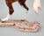 War Chant Resin, Sculpted by Kathi Bogucki, Painted by Karen Williams