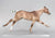 Ruffian, Custom Polo Pony by Julie Brooks & Lisa Bickford