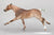 Ruffian, Custom Polo Pony by Julie Brooks & Lisa Bickford
