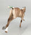 Ruffian, Custom Polo Pony by Julie Brooks & Lisa Bickford