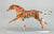 Ruffian ~ Padma - 2015 Web Special - Big Cat Series - Only 275 Made