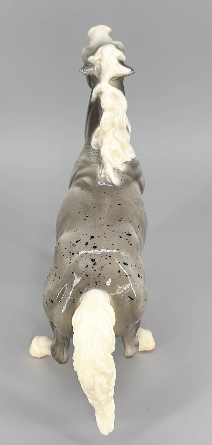 Semi-Rearing Mustang, Grey Appaloosa