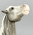 Semi-Rearing Mustang, Grey Appaloosa
