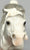 Semi-Rearing Mustang, Grey Appaloosa