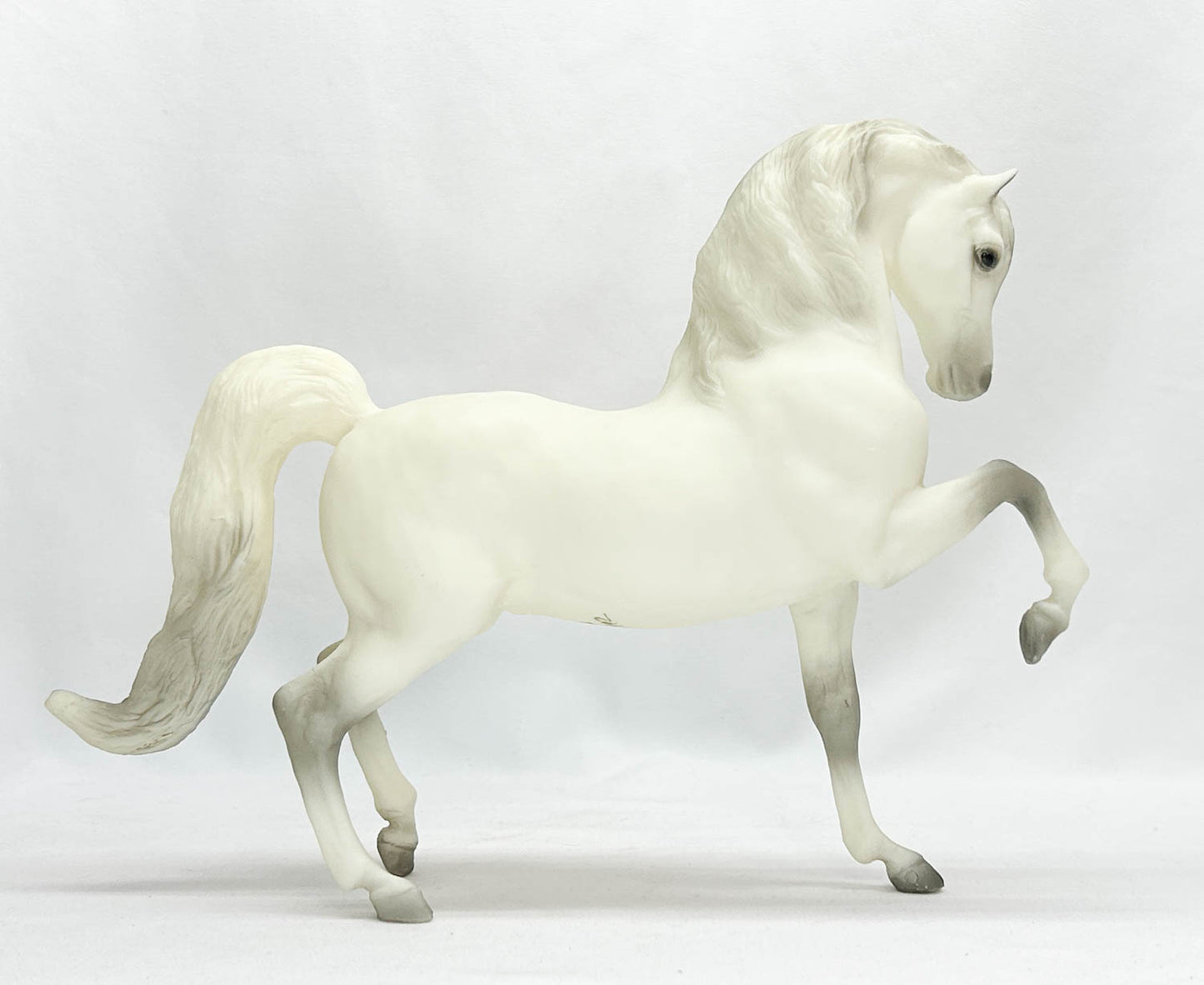 Sherman Morgan ~ Pride and Vanity - JAH SR w/ Showing Extras + Pony Pouch