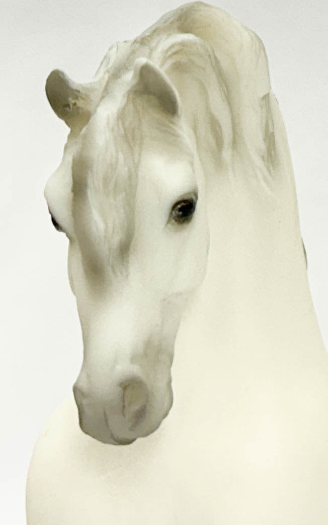 Sherman Morgan ~ Pride and Vanity - JAH SR w/ Showing Extras + Pony Pouch