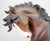 Shire Mare - Porcelain - Original Release