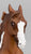 Artist Resin ~ Shy Anne Reining Horse by Linda Lima with Bonus Boots