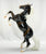 Silver, Glossy Charcoal, Treasure Hunt Chase Piece - Only 500 Made!