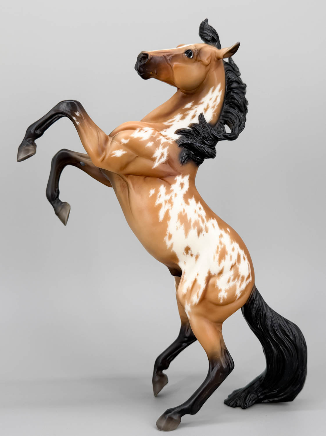 Silver, Buckskin Pinto - Custom Etchie by Lindy Pinkham
