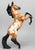 Silver, Buckskin Pinto - Custom Etchie by Lindy Pinkham