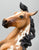 Silver, Buckskin Pinto - Custom Etchie by Lindy Pinkham