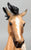 Silver, Buckskin Pinto - Custom Etchie by Lindy Pinkham