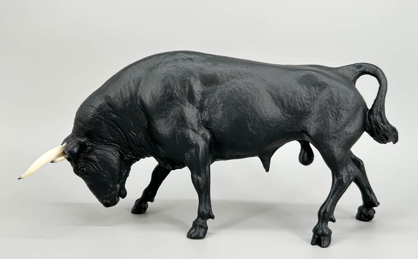 Spanish Fighting Bull, Black