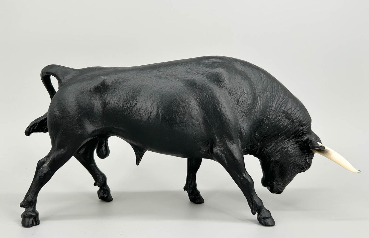 Spanish Fighting Bull, Black