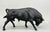 Spanish Fighting Bull, Black