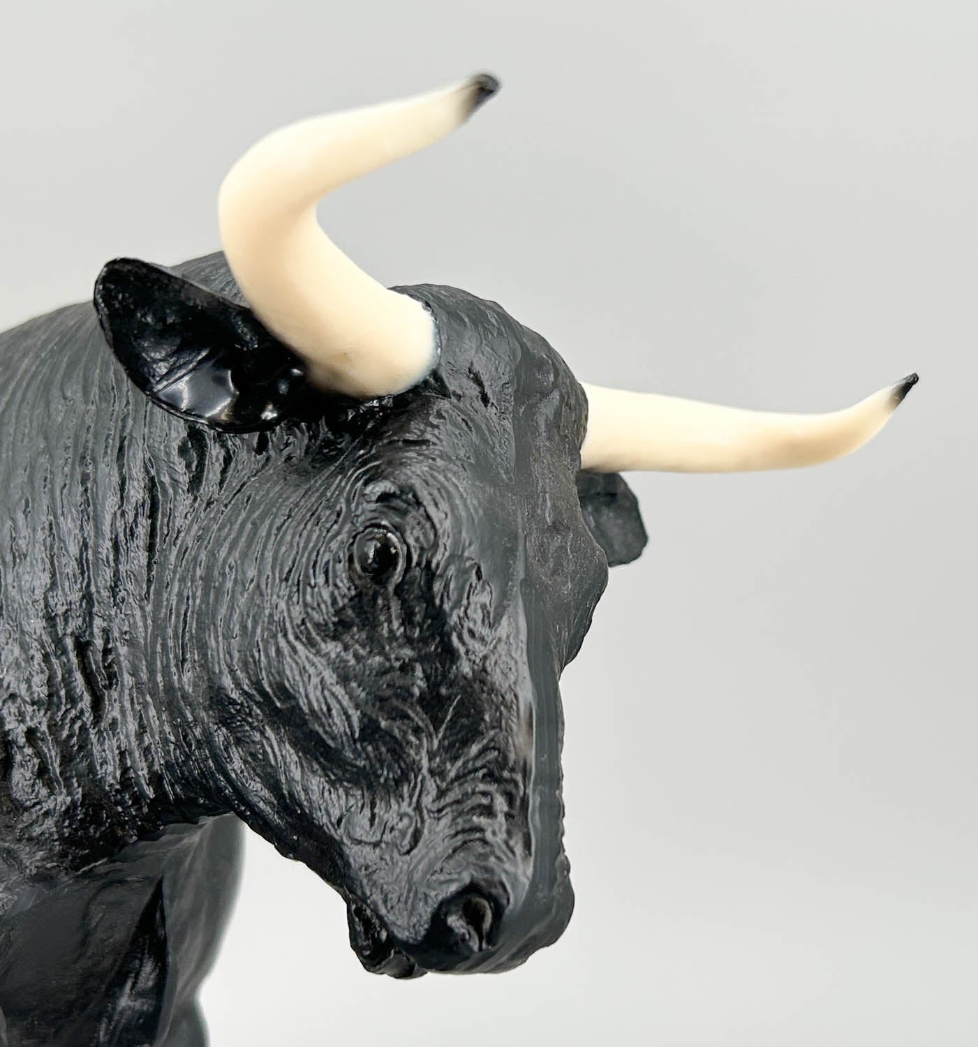 Spanish Fighting Bull, Black