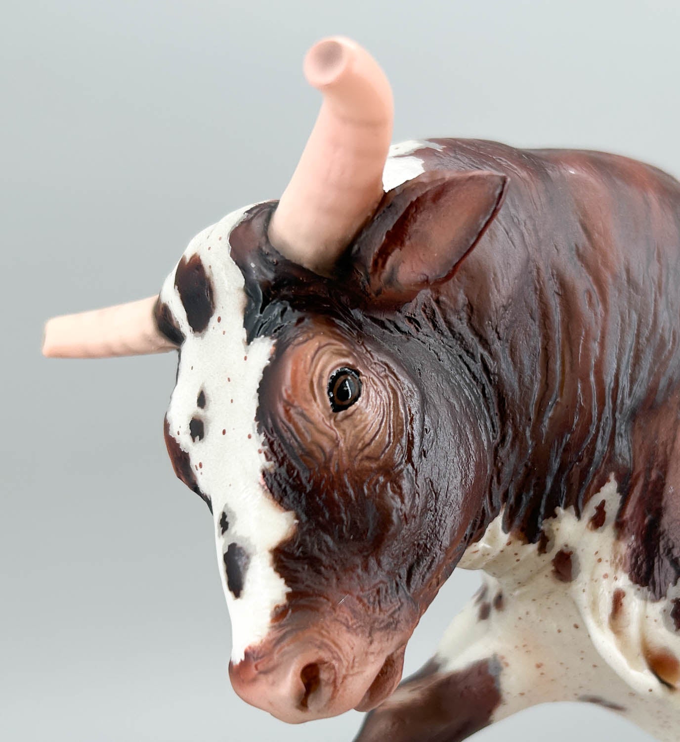 Spanish Fighting Bull ~ Widowmaker - 350 Made