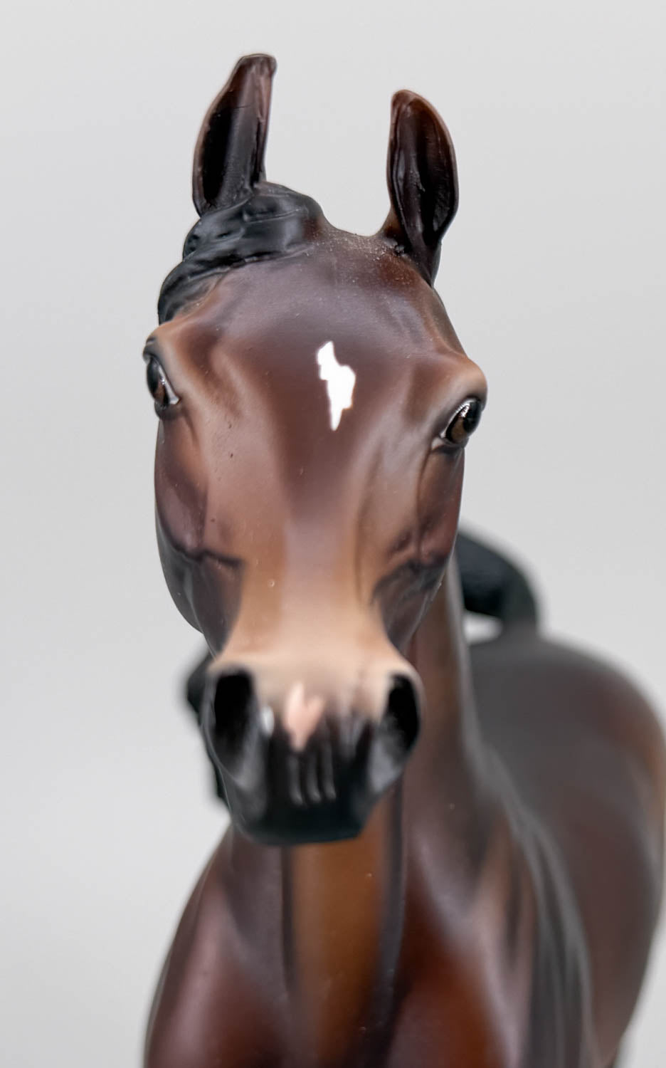 Arabian, Liver Chestnut - Factory Customized One-Of-A-Kind DAH