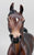 Arabian, Liver Chestnut - Factory Customized One-Of-A-Kind DAH