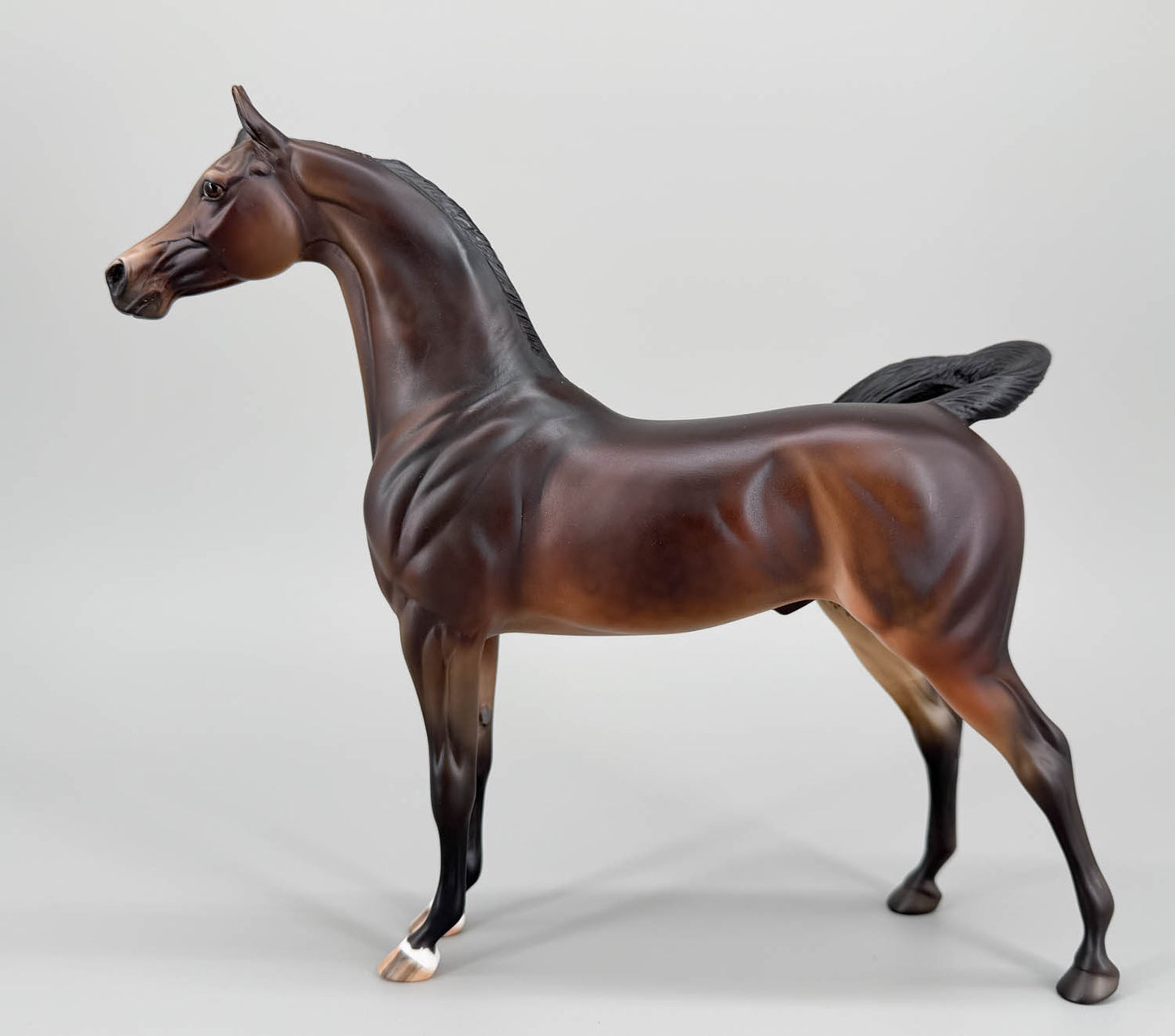 Arabian, Liver Chestnut - Factory Customized One-Of-A-Kind DAH