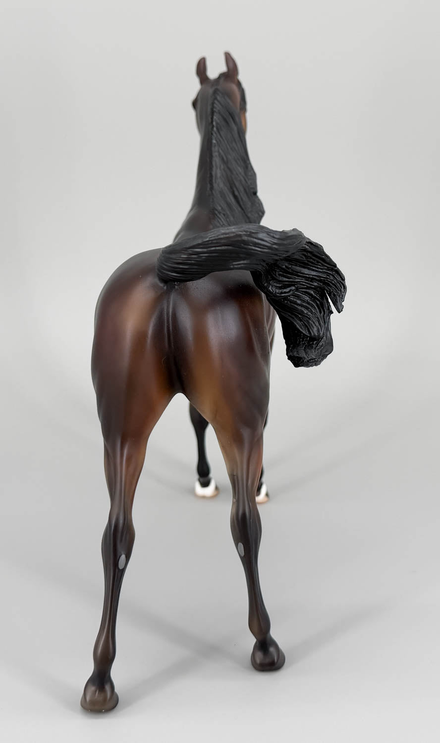 Arabian, Liver Chestnut - Factory Customized One-Of-A-Kind DAH