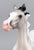 Arabian Yearling ~ Chill Factor - DAH OOAK