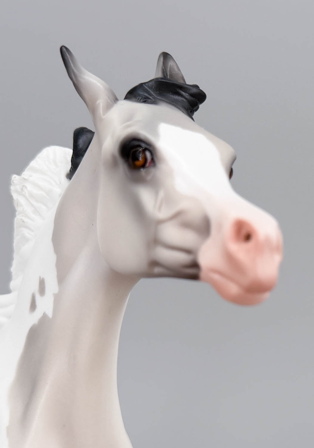 Arabian Yearling ~ Chill Factor - DAH OOAK