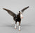Chips Pony Pegasus, Silver Black Snowflake Appaloosa - One-of-a-Kind!