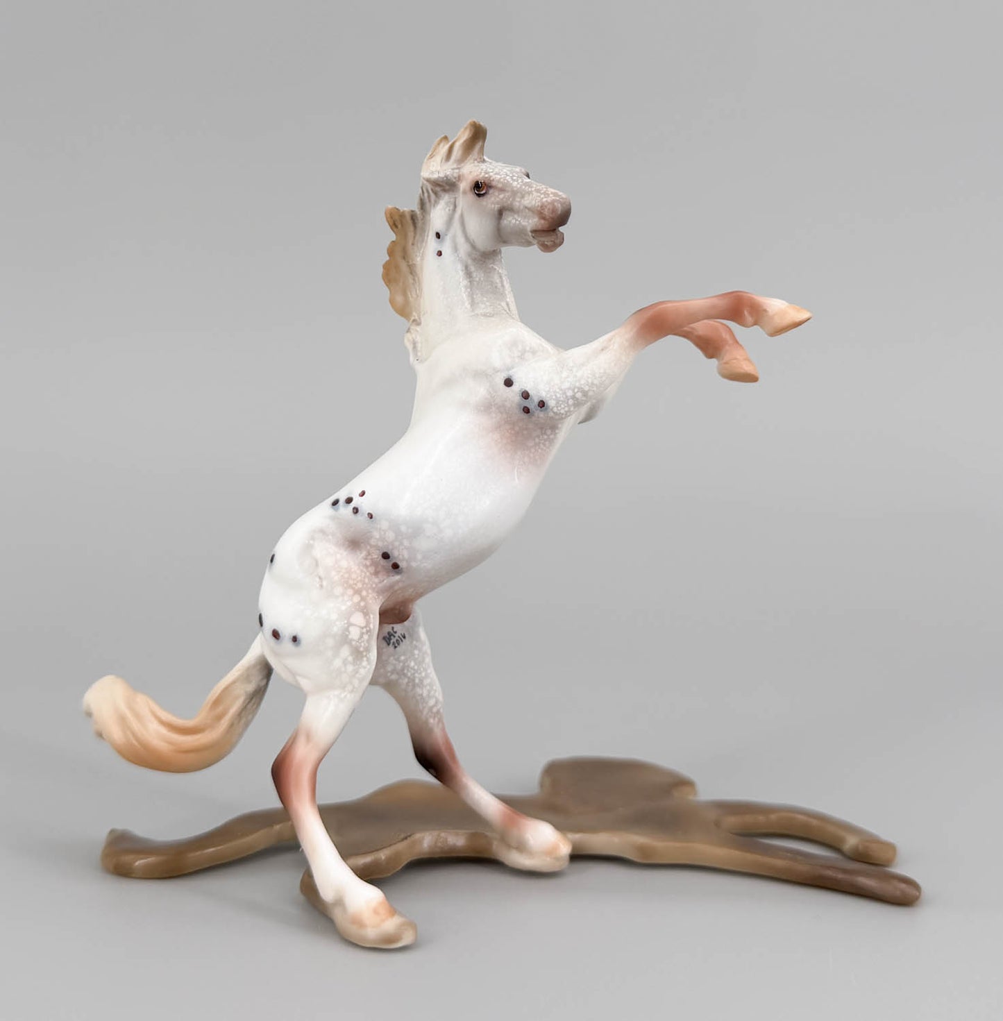 Chips Rearing, Chestnut Varnish Appaloosa with SHADOW - One-of-a-Kind