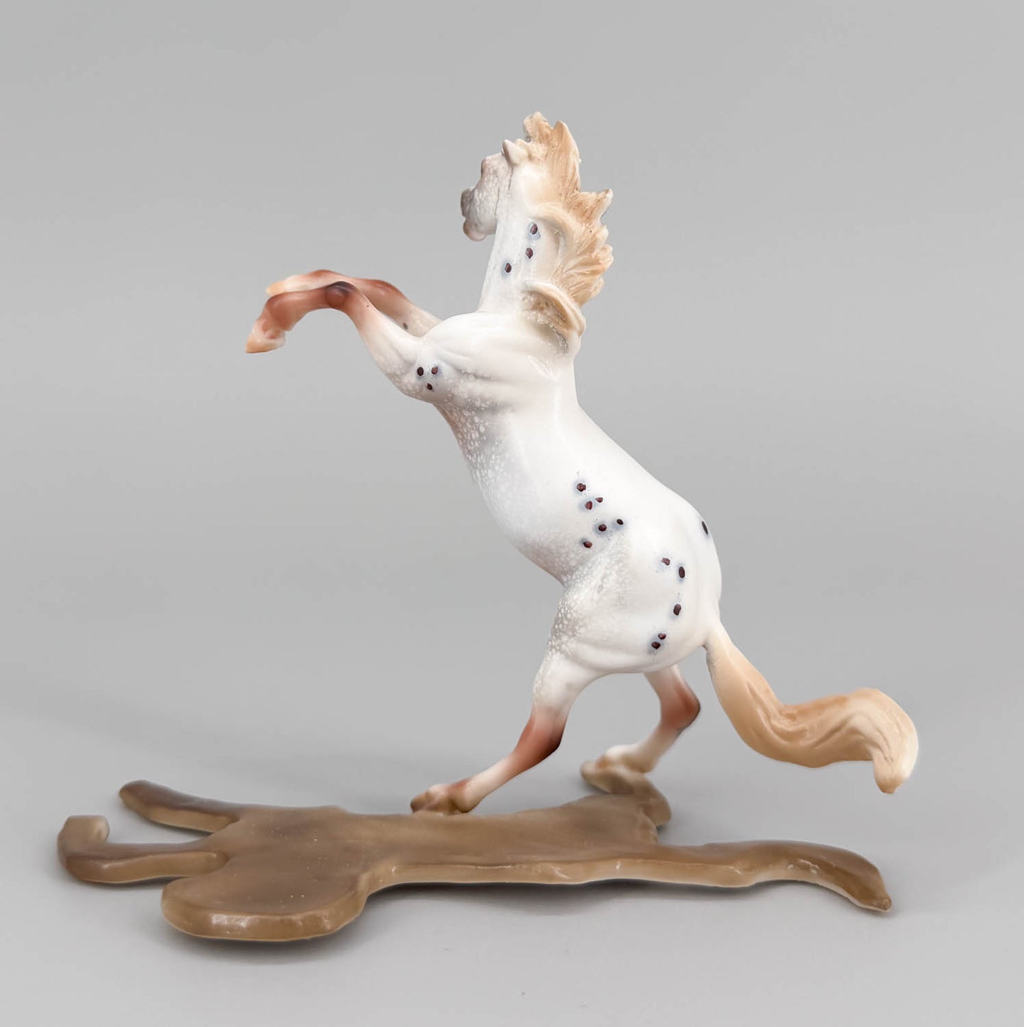 Chips Rearing, Chestnut Varnish Appaloosa with SHADOW - One-of-a-Kind