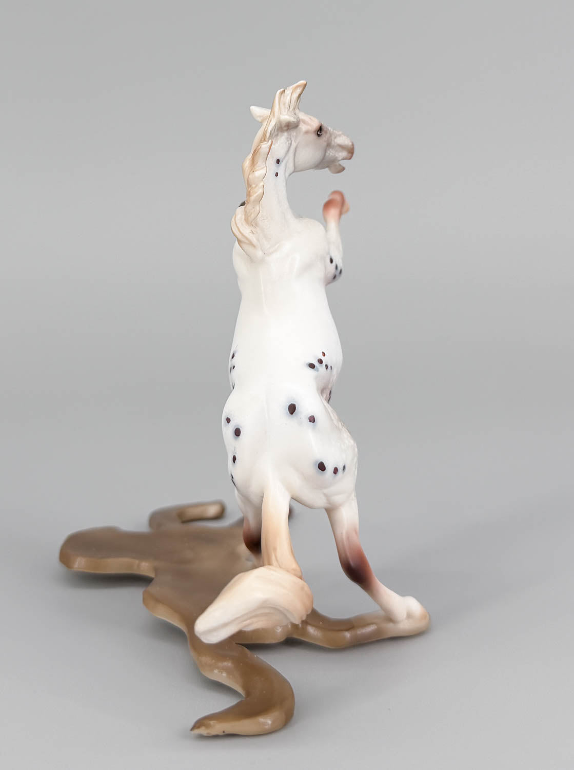 Chips Rearing, Chestnut Varnish Appaloosa with SHADOW - One-of-a-Kind