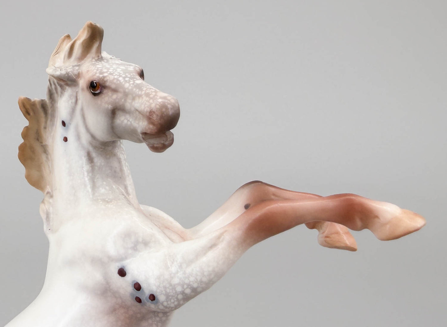 Chips Rearing, Chestnut Varnish Appaloosa with SHADOW - One-of-a-Kind