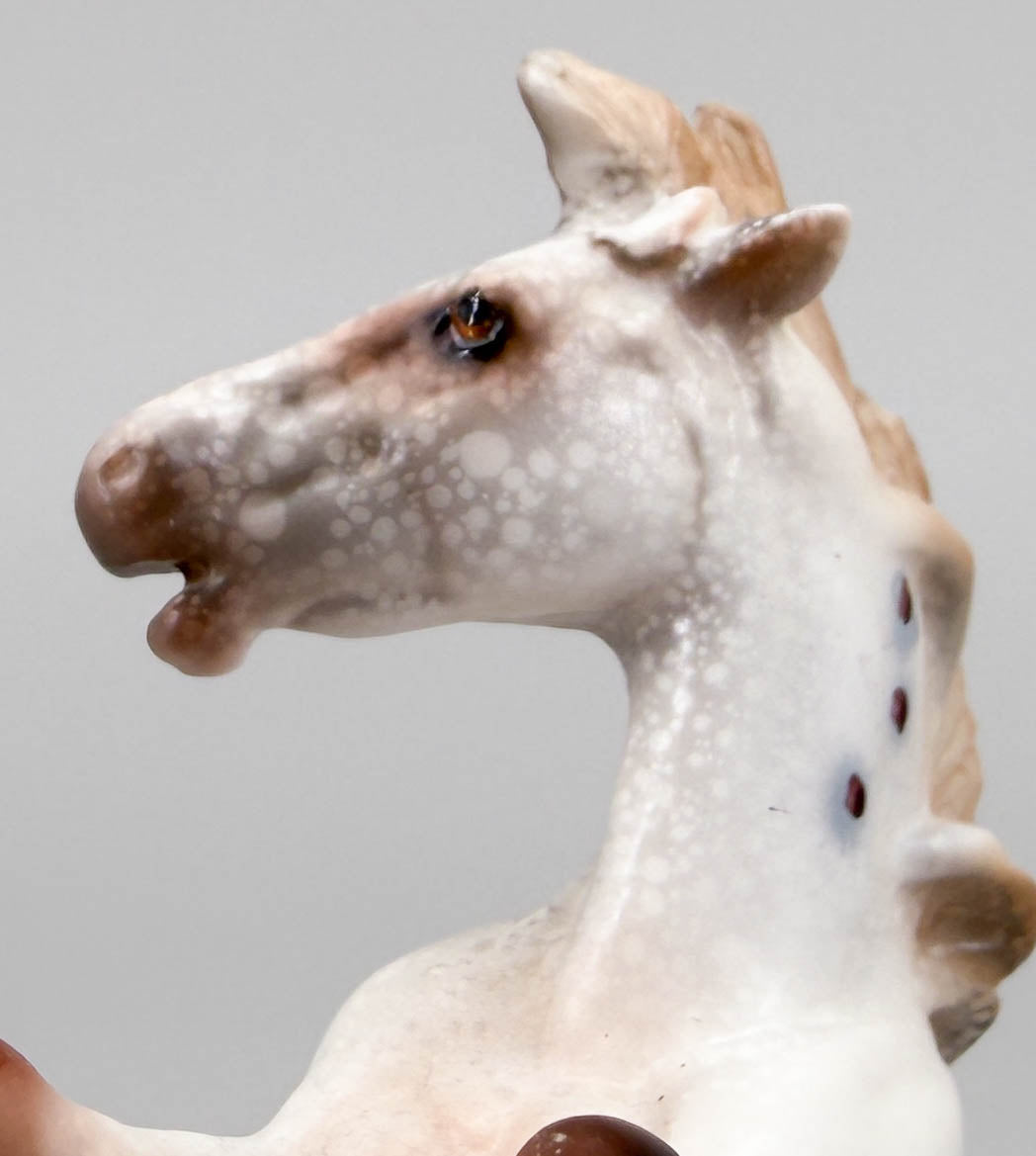 Chips Rearing, Chestnut Varnish Appaloosa with SHADOW - One-of-a-Kind