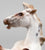 Chips Rearing, Chestnut Varnish Appaloosa with SHADOW - One-of-a-Kind