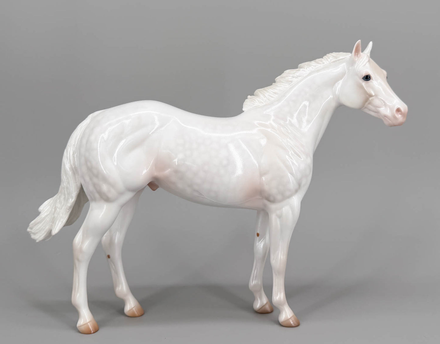 Ideal Stock Horse ~ P.T. Frosty