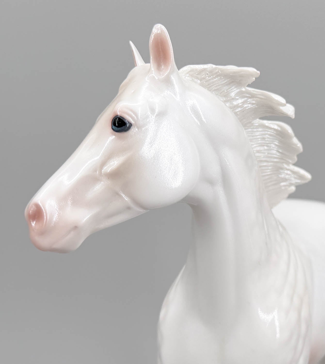 Ideal Stock Horse ~ P.T. Frosty