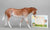 Stone Mule ~ Velveteen - Only 30 Made