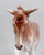 Stone Mule ~ Velveteen - Only 30 Made