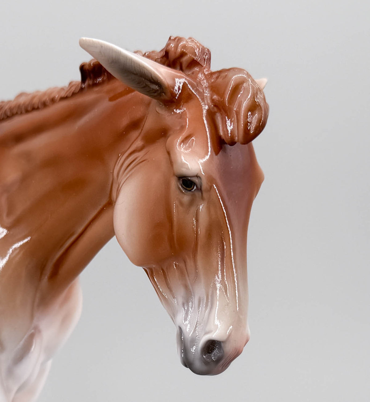 Stone Mule ~ Velveteen - Only 30 Made