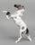 Rearing Mustang Stallion ~ Mini "Boo!" - OOAK