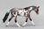 Stone Pebbles Warmblood ~ Salem - GLOSSY Grand Champ Trophy Model!