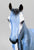 Stone Pony ~ Blue Lace Agate