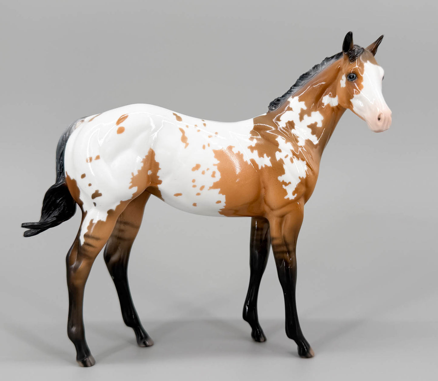 Weanling ~ After Party - One-Of-A-Kind DAH